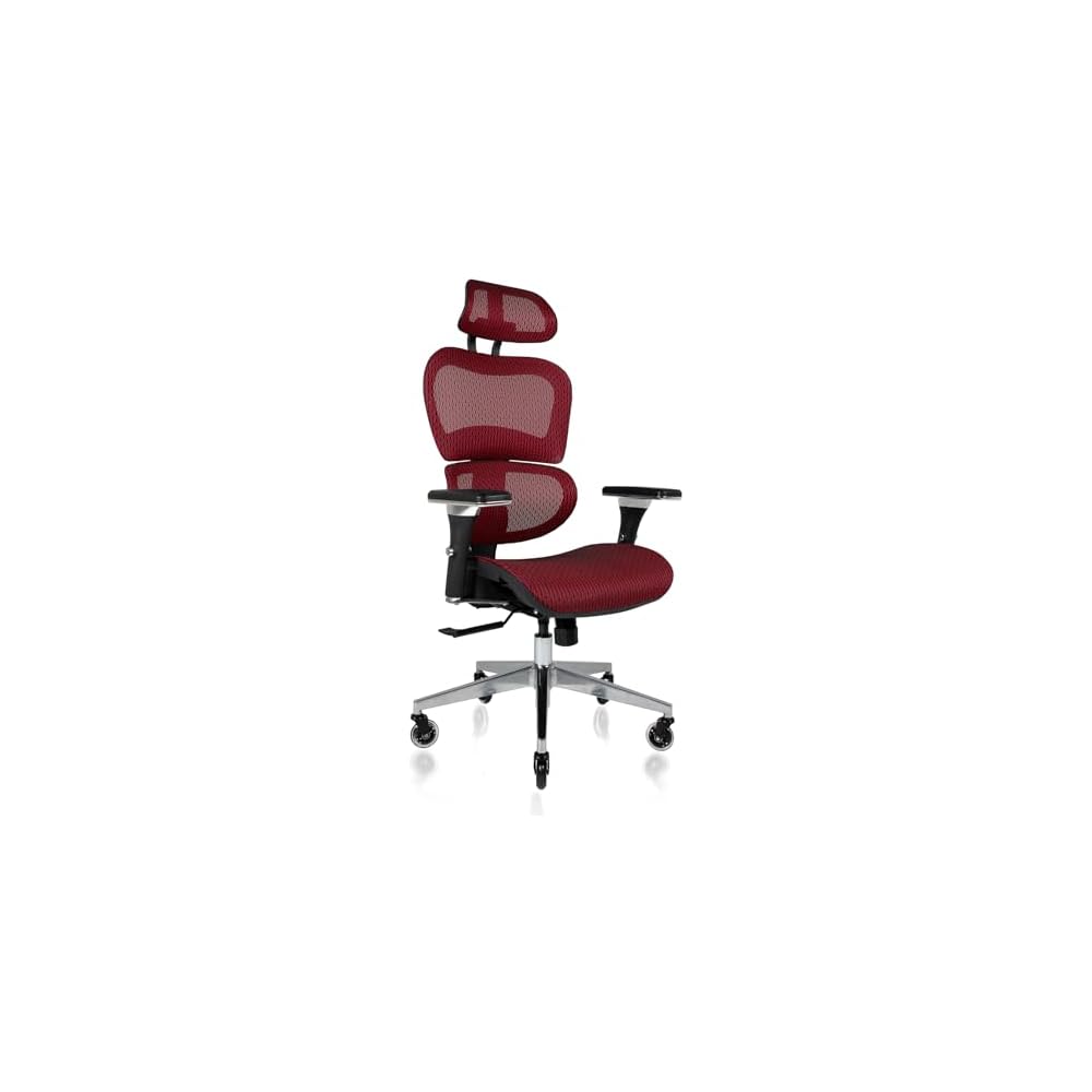 Nouhaus Mesh Ergonomic Office Chair with Lumbar Support, 4D Arms