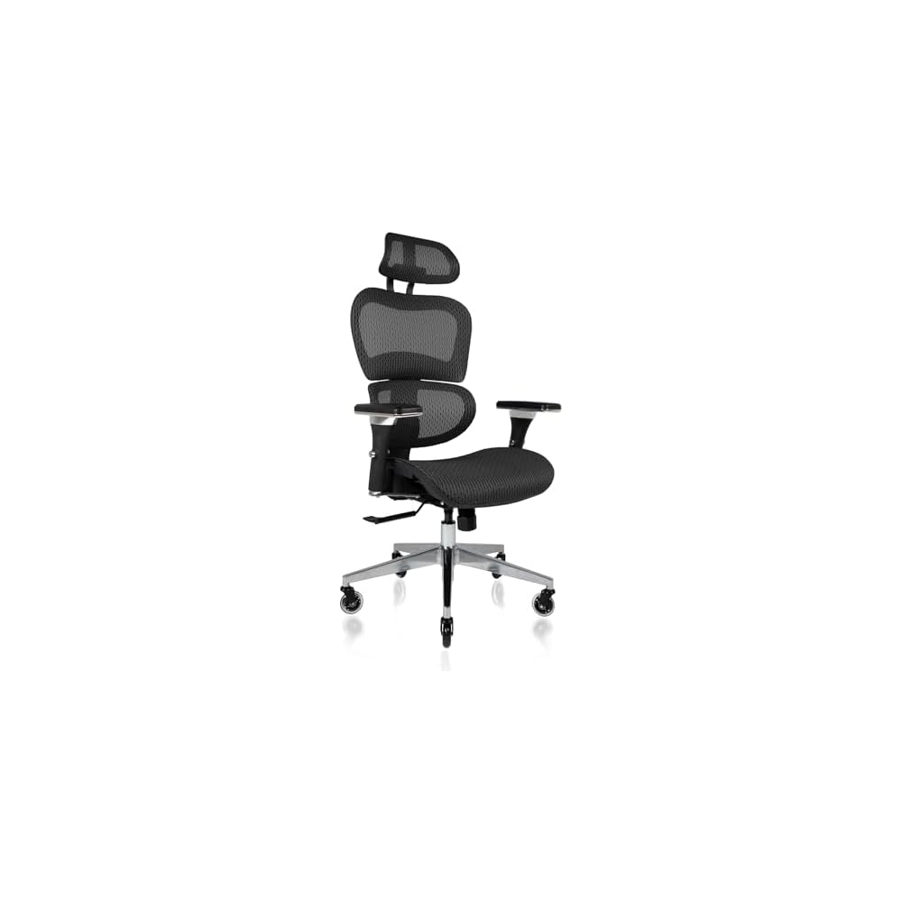 Nouhaus Mesh Ergonomic Office Chair with Lumbar Support, 4D Arms