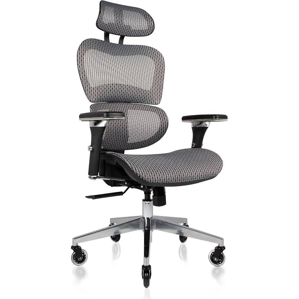 Nouhaus Mesh Ergonomic Office Chair with Lumbar Support, 4D Arms