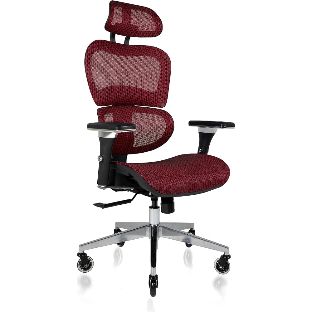 Nouhaus Mesh Ergonomic Office Chair with Lumbar Support, 4D Arms